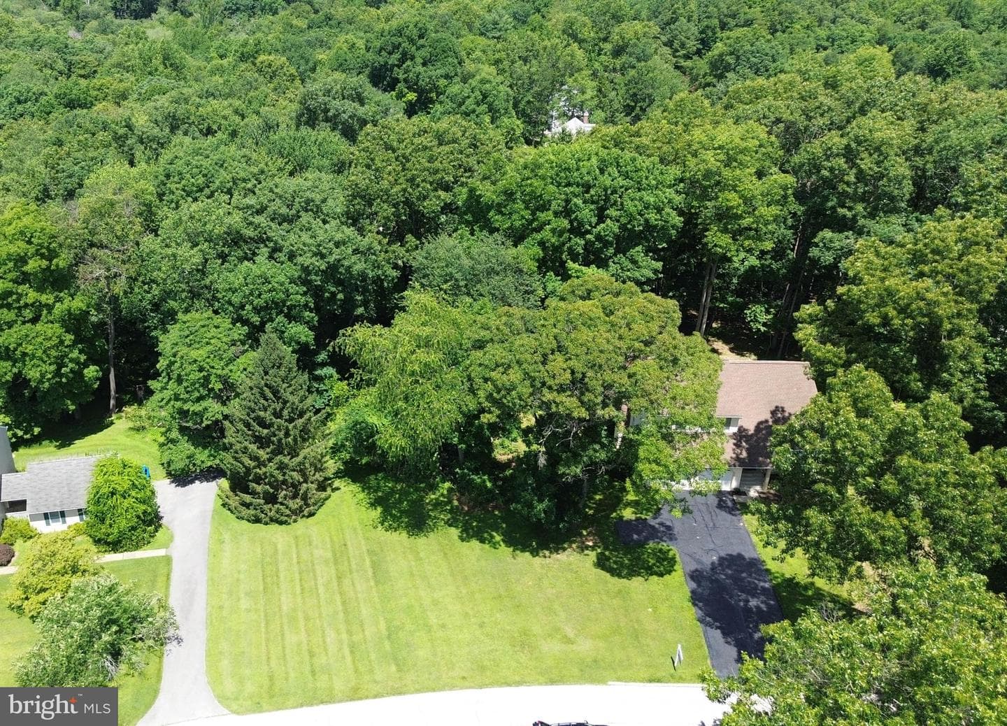 19018 Hunt Pass Court photo 3