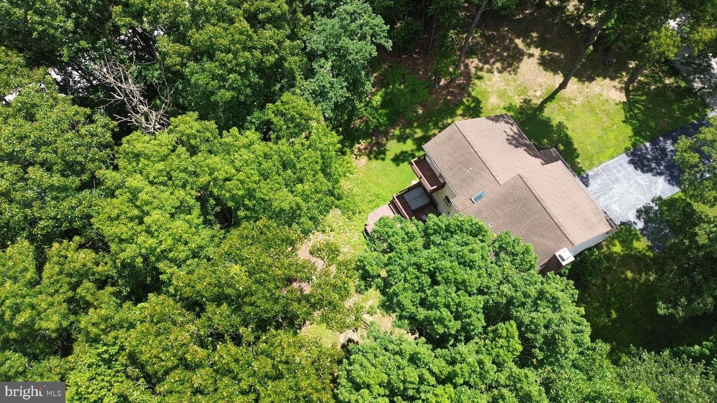 19018 Hunt Pass Court photo 5