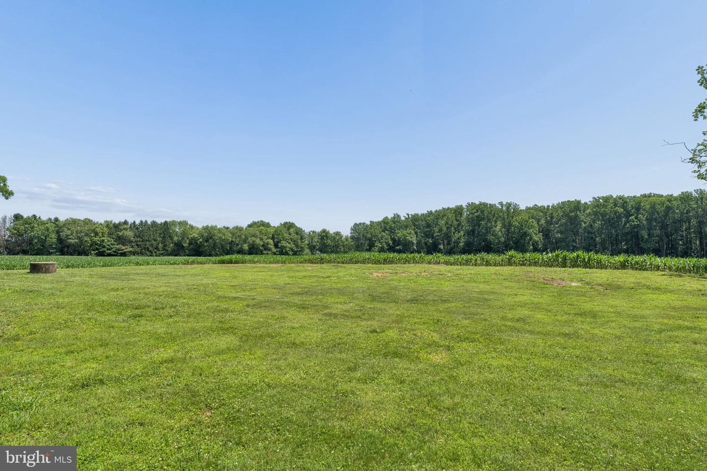 7219 New Cut Road photo 34