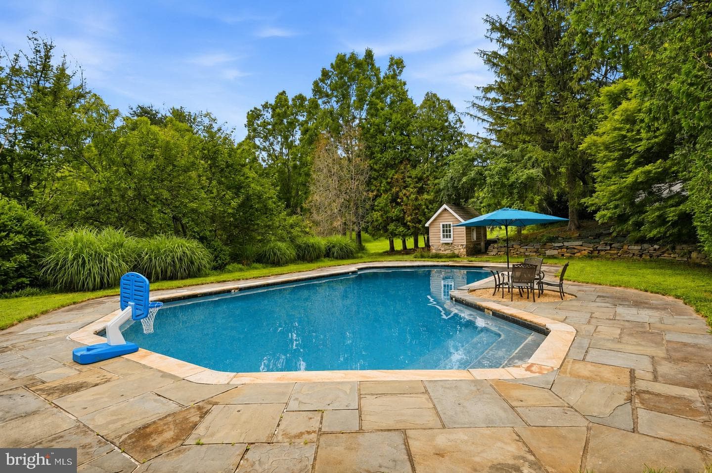 12500 Ivy Mill Road photo 9