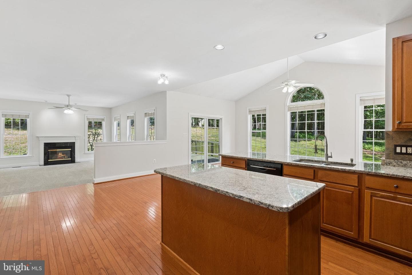 19109 Timothys Manor Court photo 16