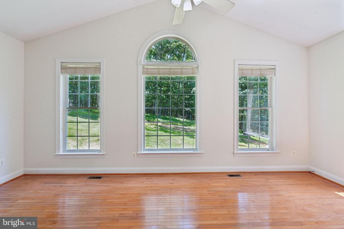 19109 Timothys Manor Court photo 22