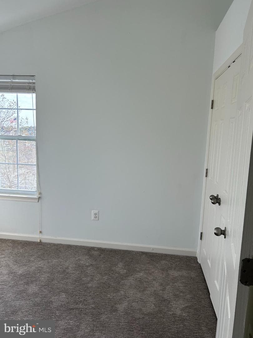 9401 Summer Squall photo 15