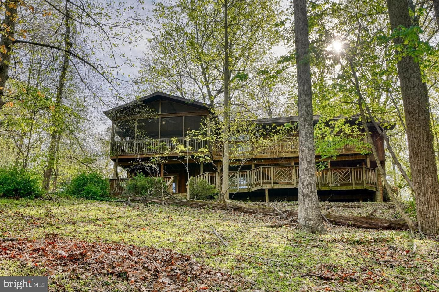 12602 Sagamore Forest Lane photo 3