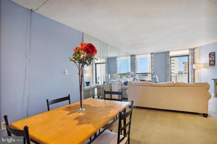 205 E Joppa Road #1601 photo 14