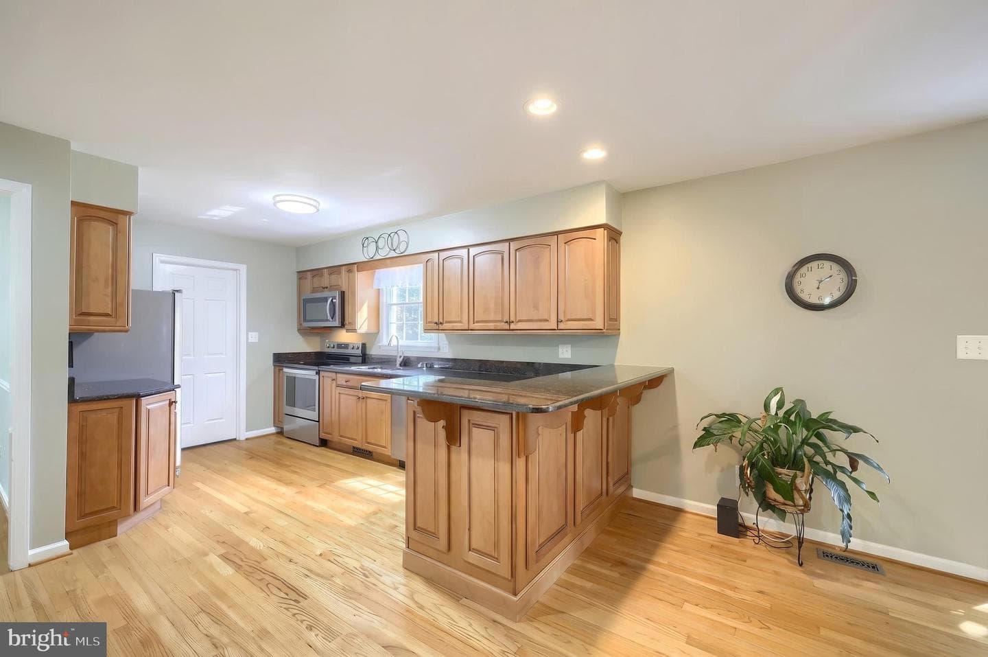 16909 Big Falls Road photo 29