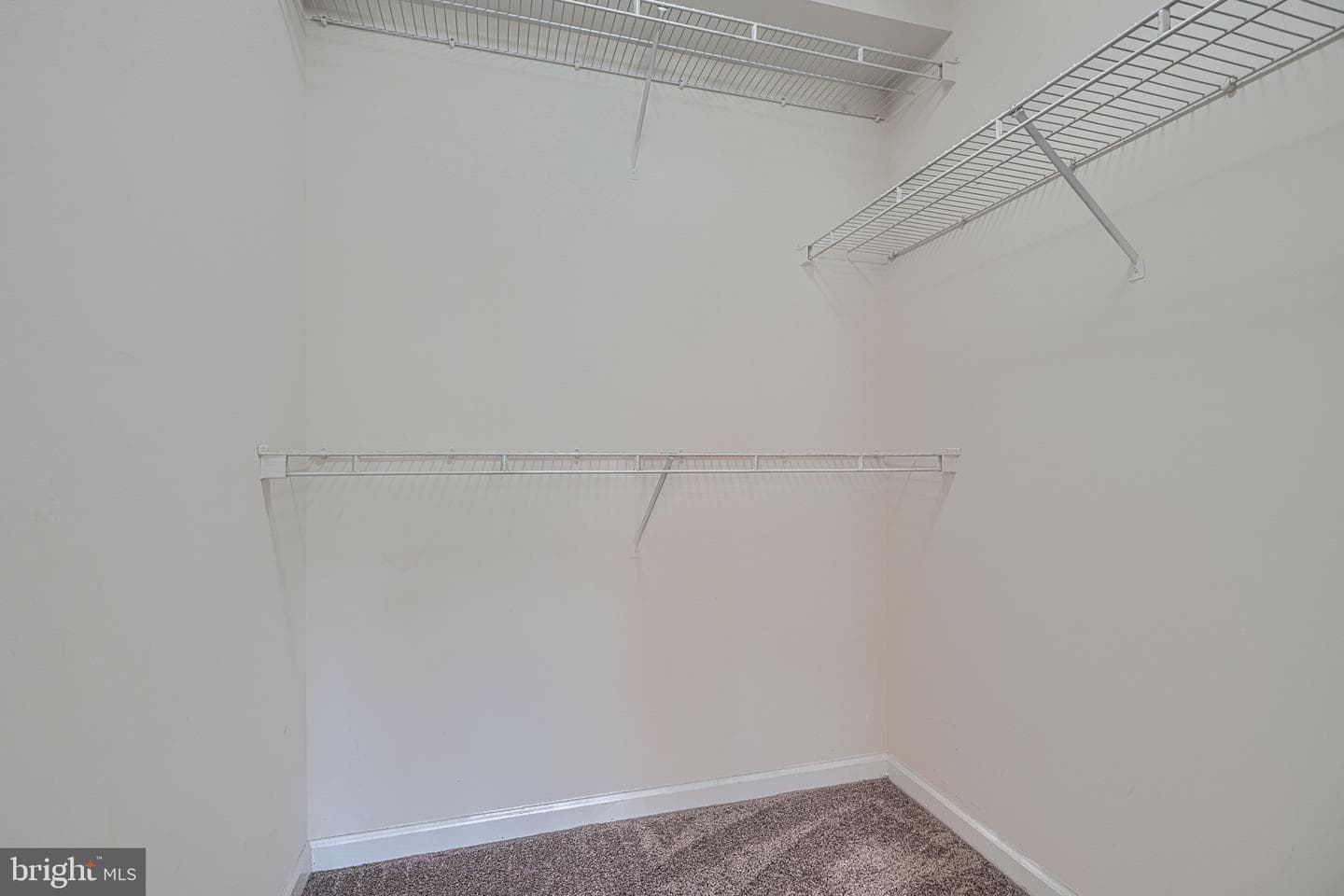 8235 Poplar Mill #8235 photo 25