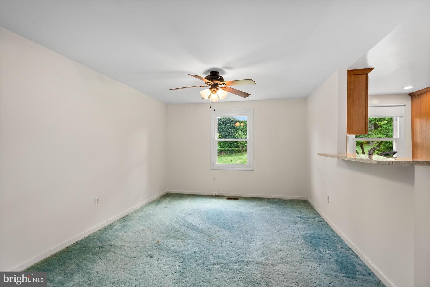 8339 Tally Ho Road photo 20