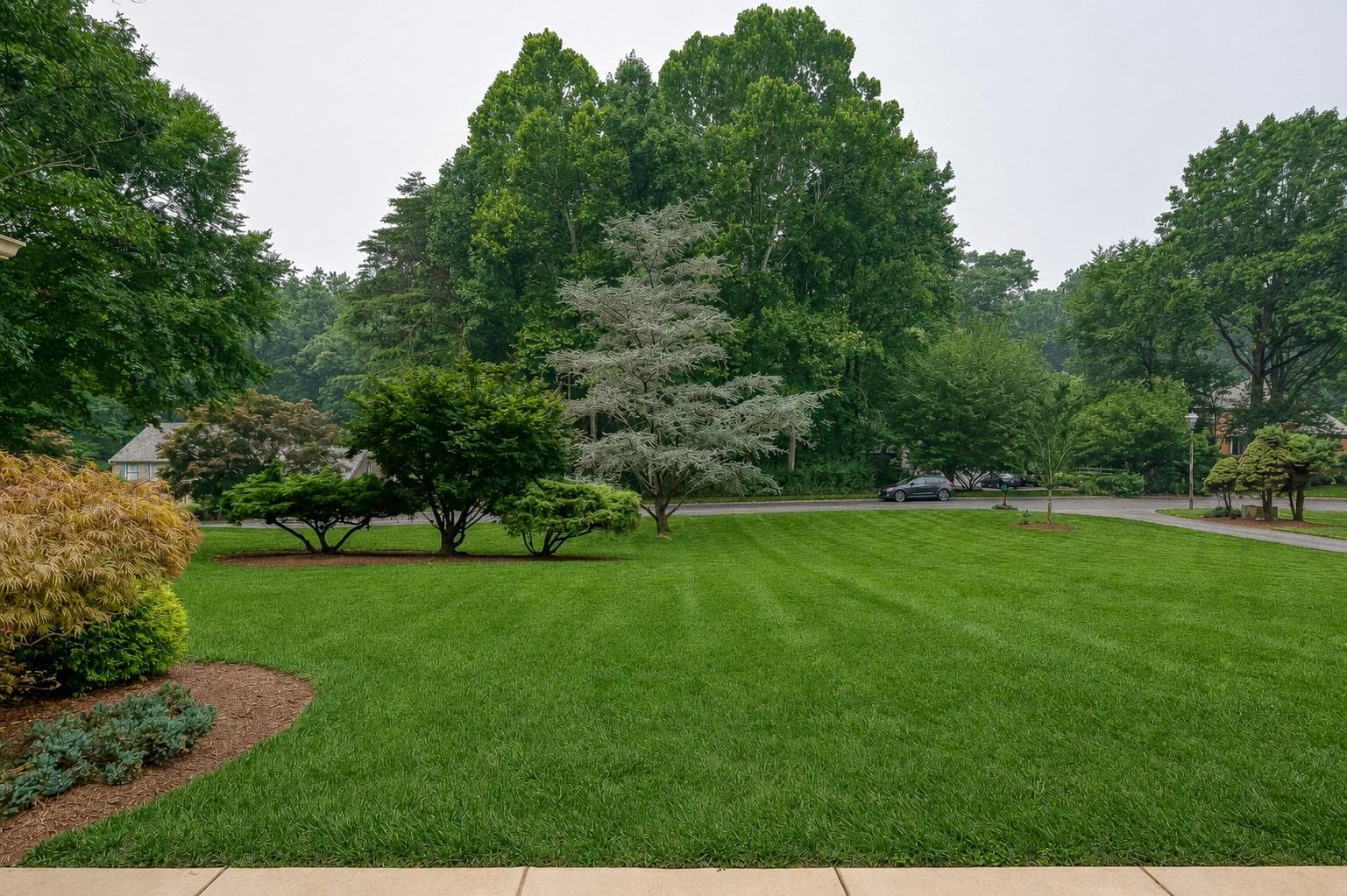 1421 Autumn Leaf Road photo 47