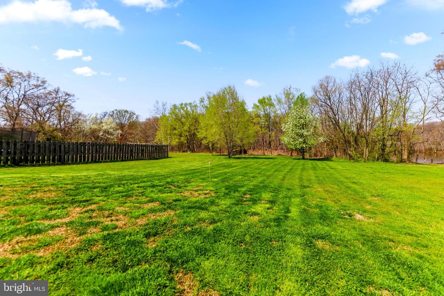 1439 Goodwood Avenue photo 45