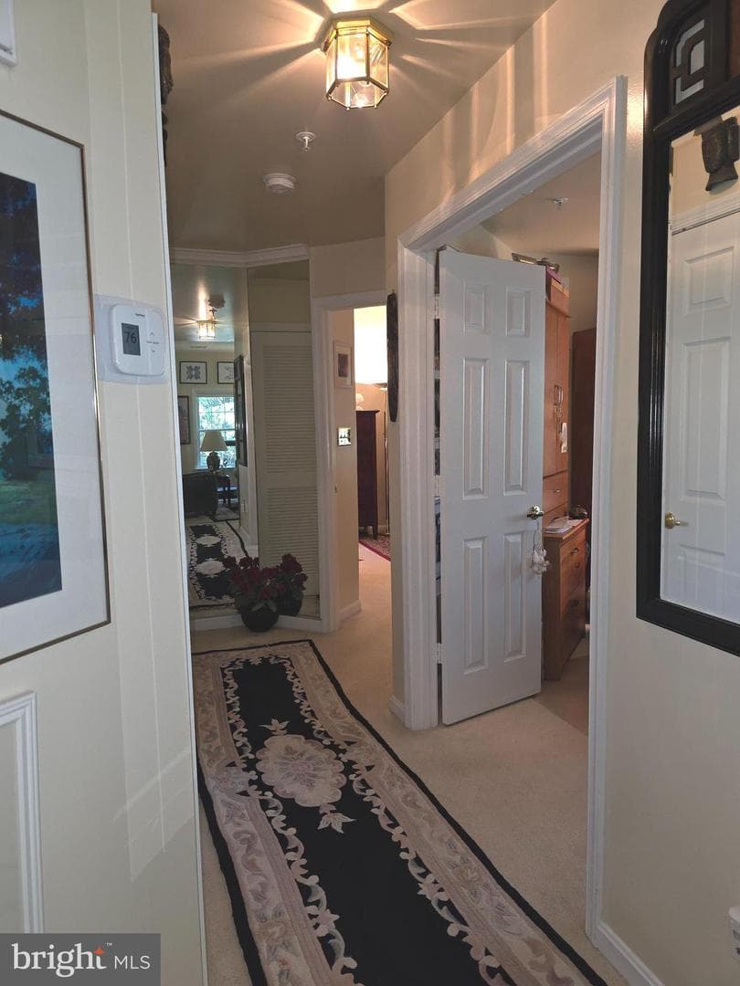 9226 James Howard Lane #9226 photo 17