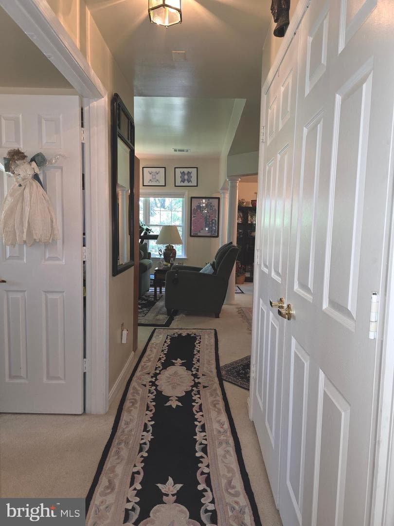 9226 James Howard Lane #9226 photo 31