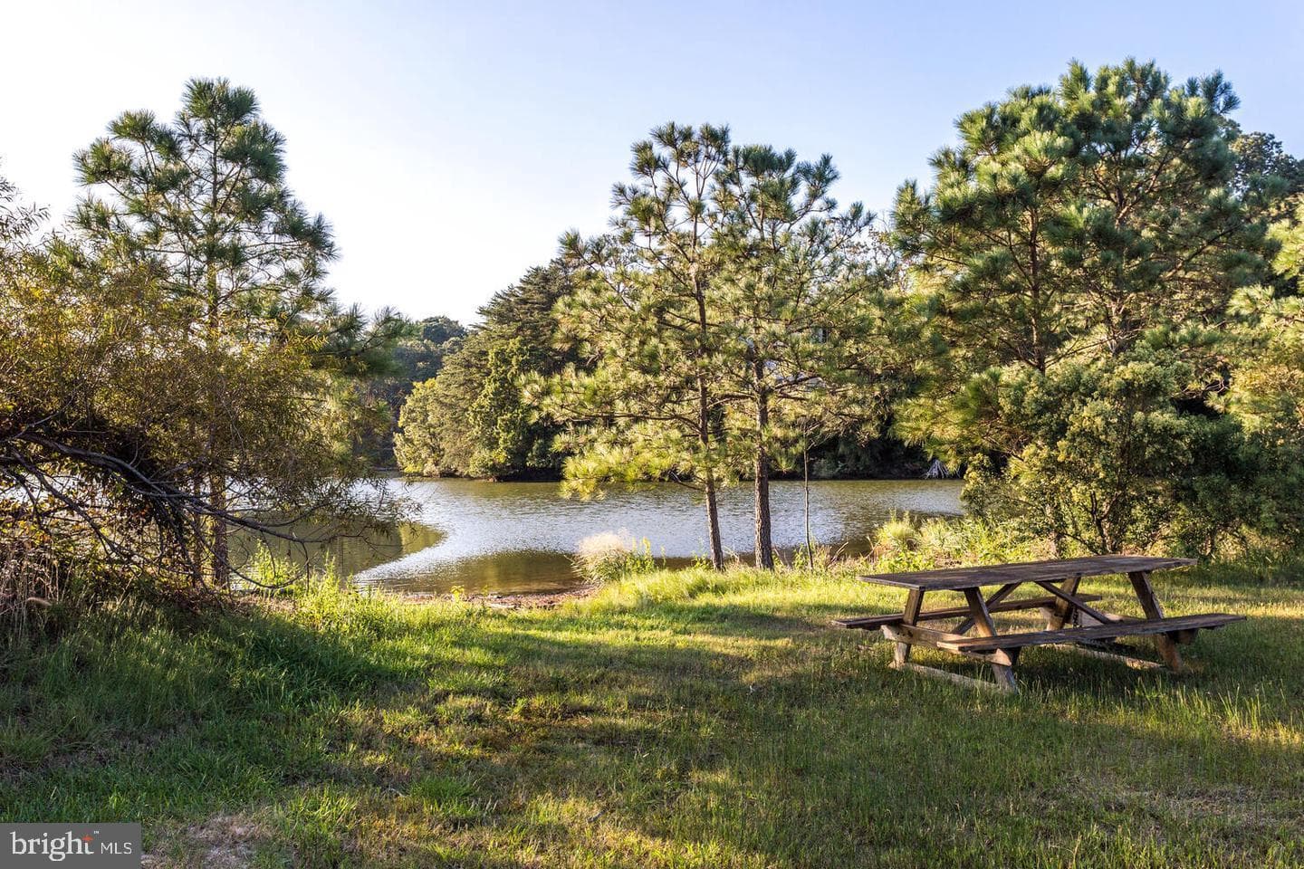 298 Cove Drive photo 28