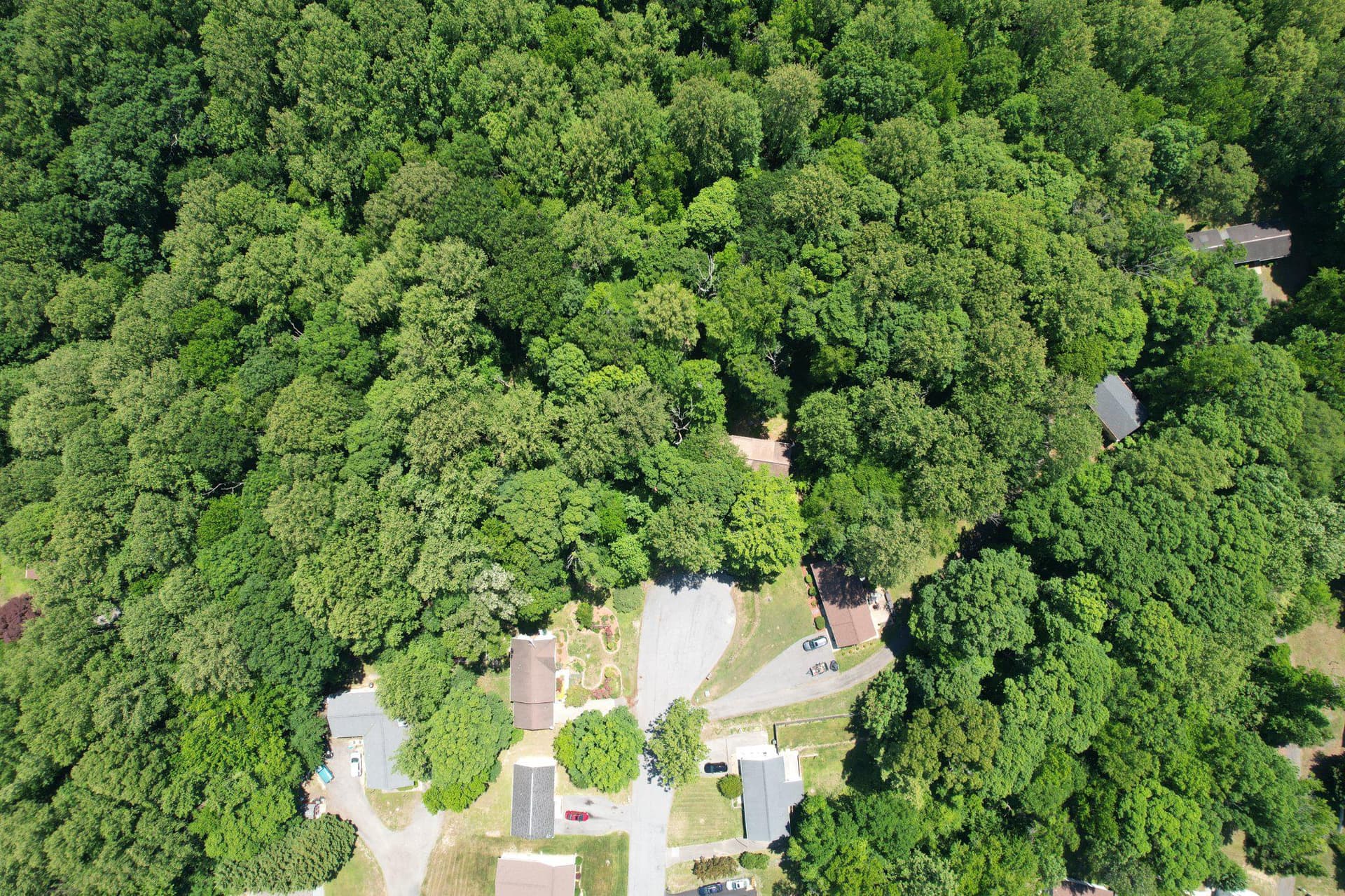 6337 Dory Court photo 47