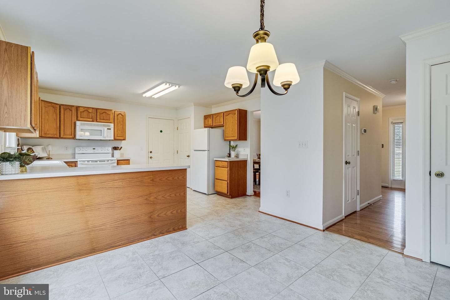 11244 Dancer Court photo 19