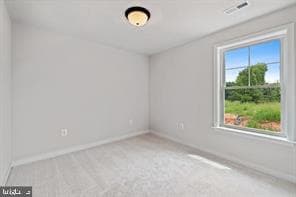 8314 Bayside Road photo 12