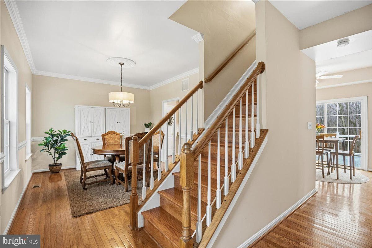 3531 Fortuna Court photo 11