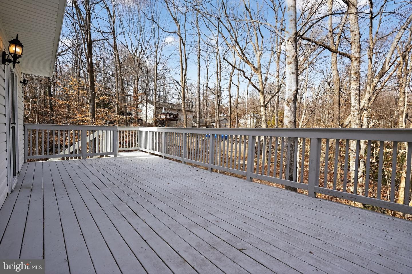 481 Saddle Court photo 15