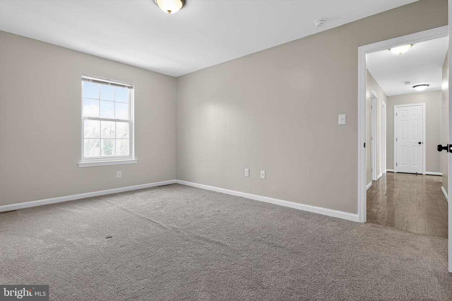 481 Saddle Court photo 28