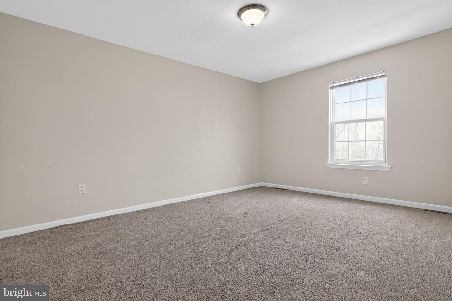 481 Saddle Court photo 29