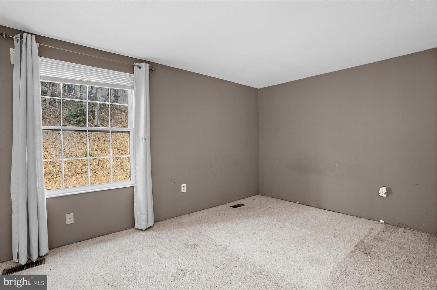 4358 Flora Avenue photo 42