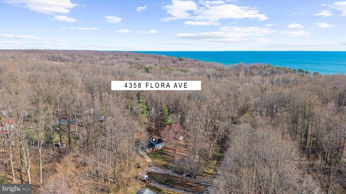 4358 Flora Avenue photo 79