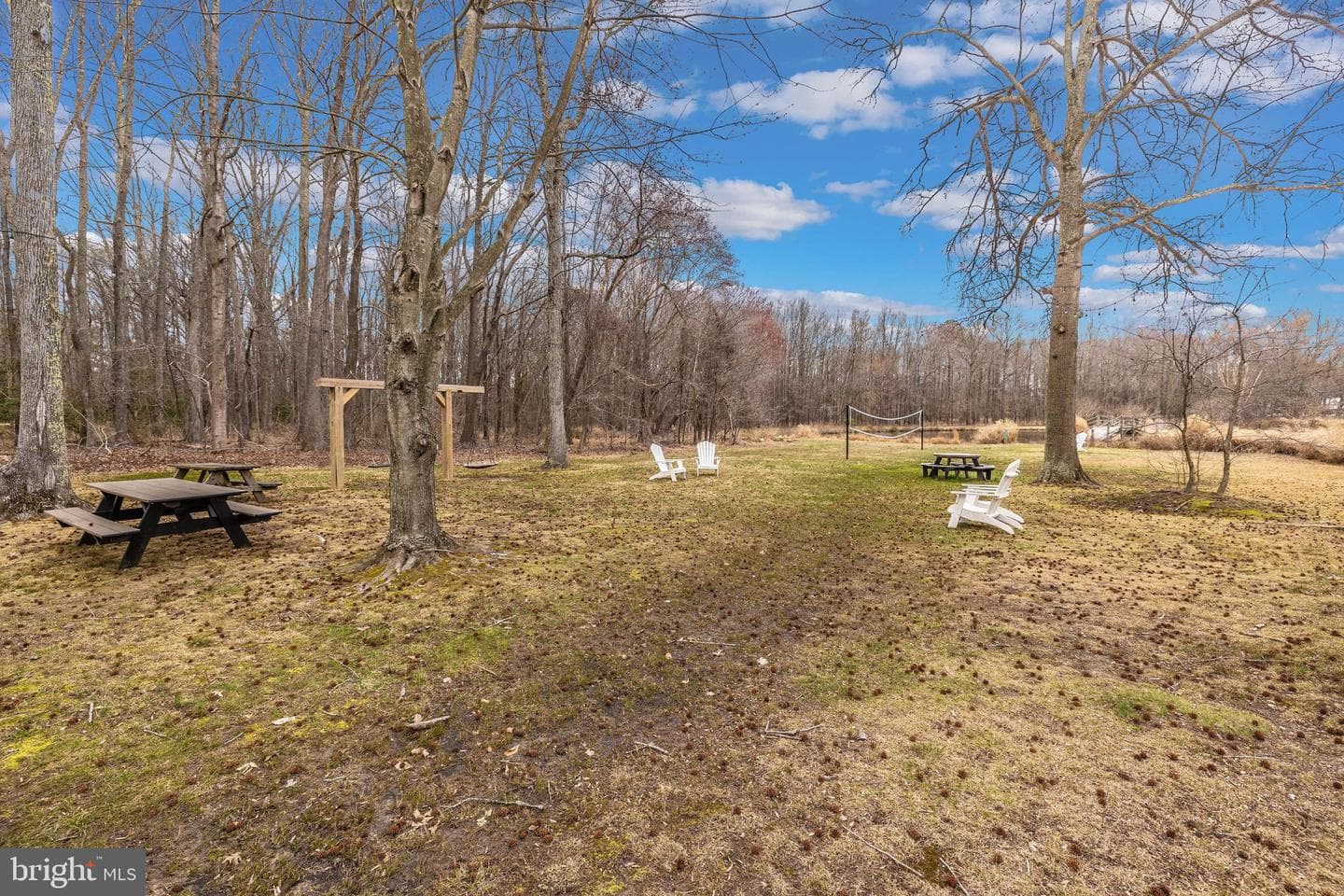 12124 Palisades Drive photo 103