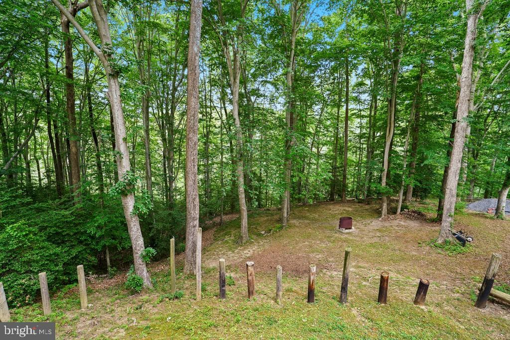 8566 Stock Drive photo 7