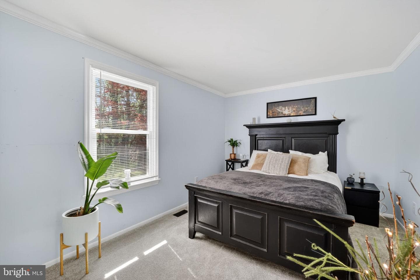 8998 Saint Andrews Drive photo 10