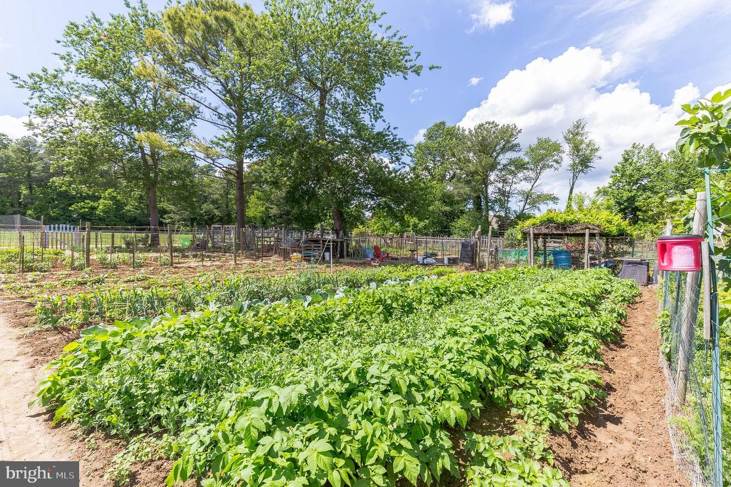 1142 Ranger Ridge Road photo 53