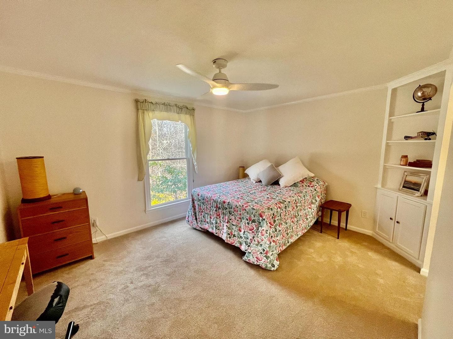 8200 Frances Lane photo 37