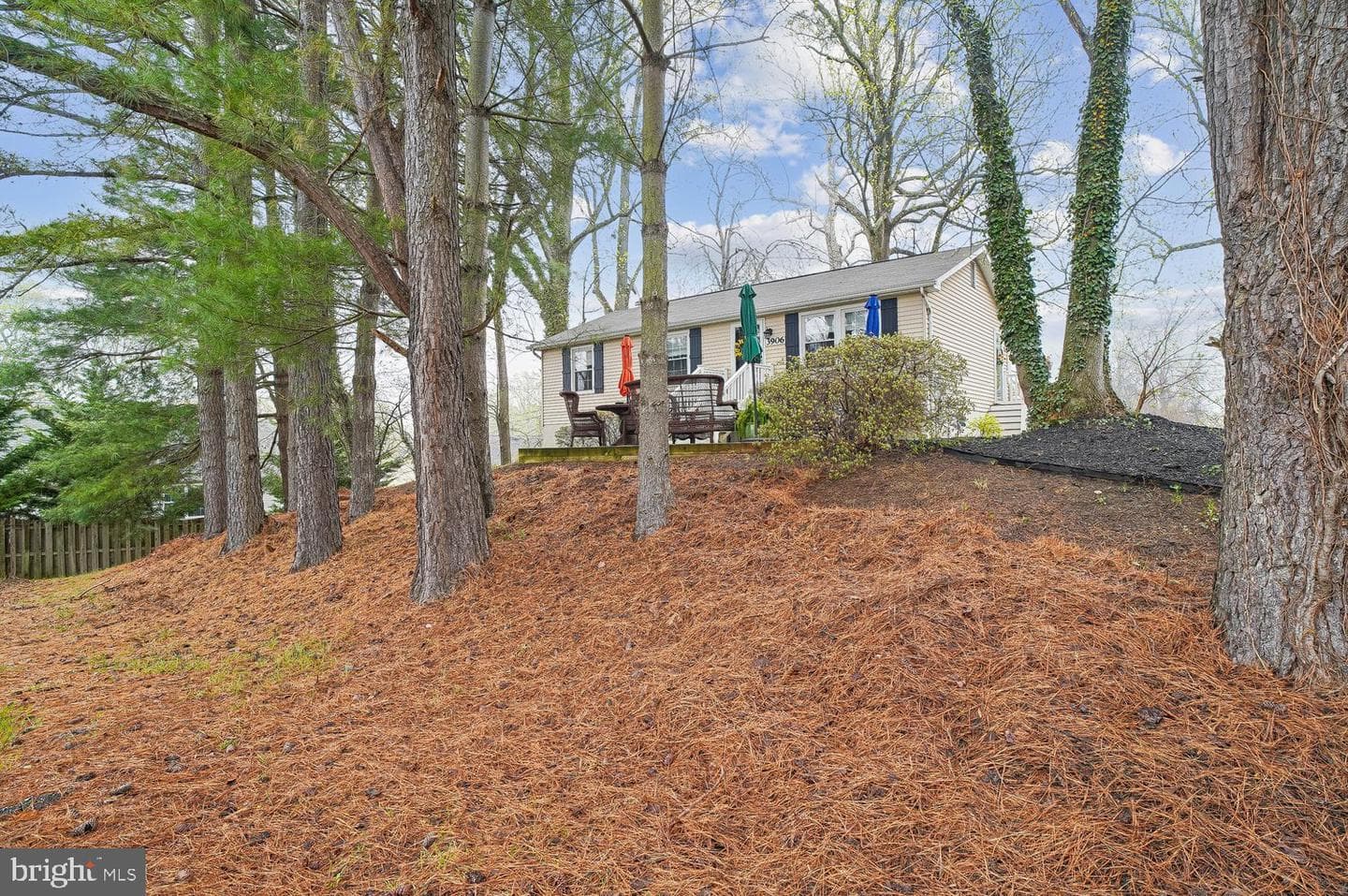 3906 Chesapeake Avenue photo 30
