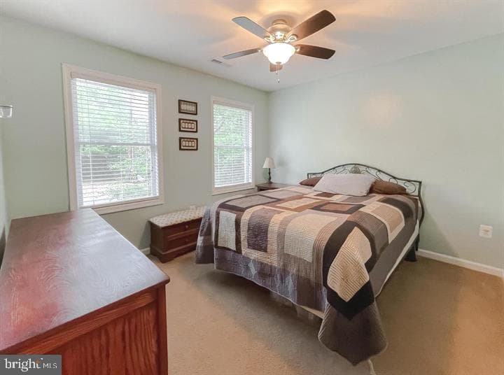 345 Chippewa Lane photo 20
