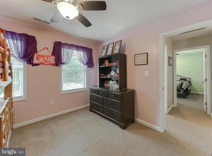345 Chippewa Lane photo 21
