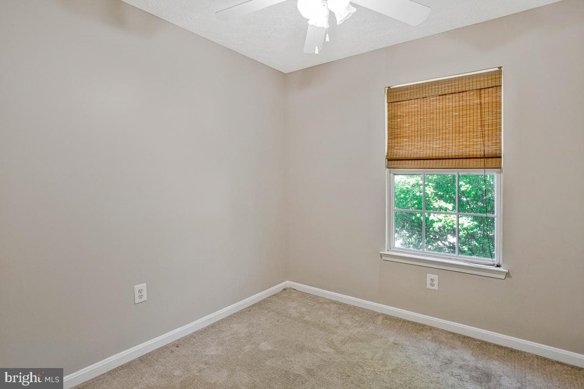 8199 Woodland Lane photo 27