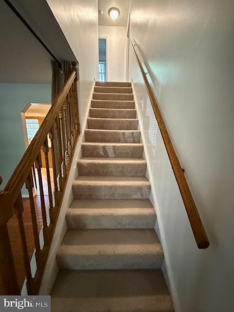 259 Sachem Drive photo 20