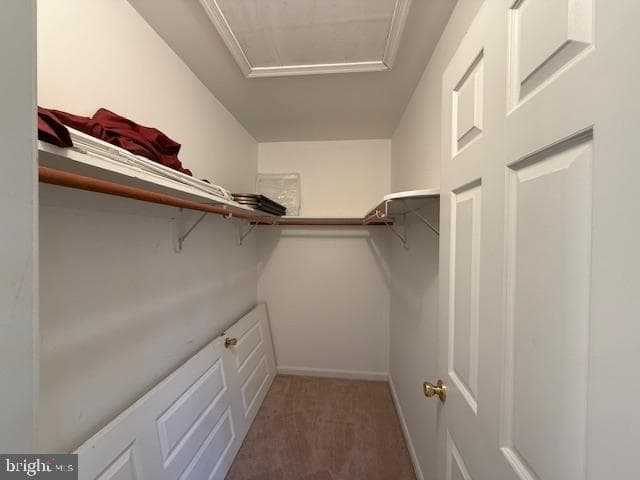 259 Sachem Drive photo 24