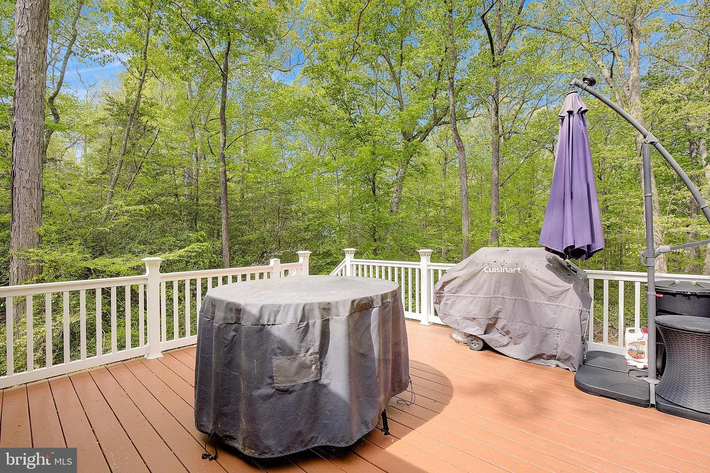 12486 Coyote Court photo 36