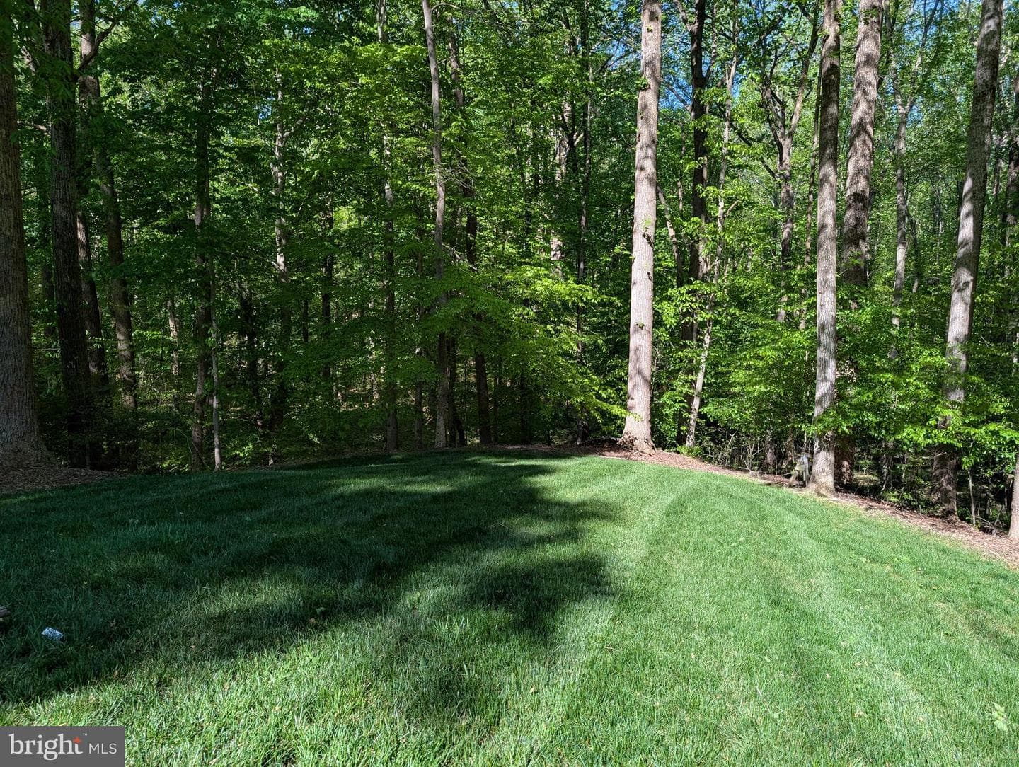 216 Walnut Creek Road photo 16