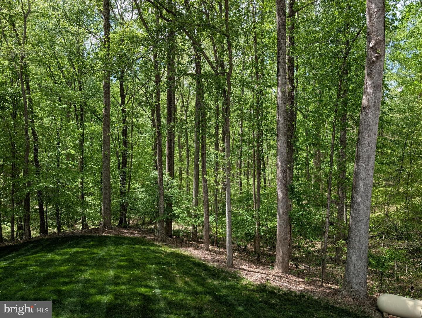 216 Walnut Creek Road photo 21