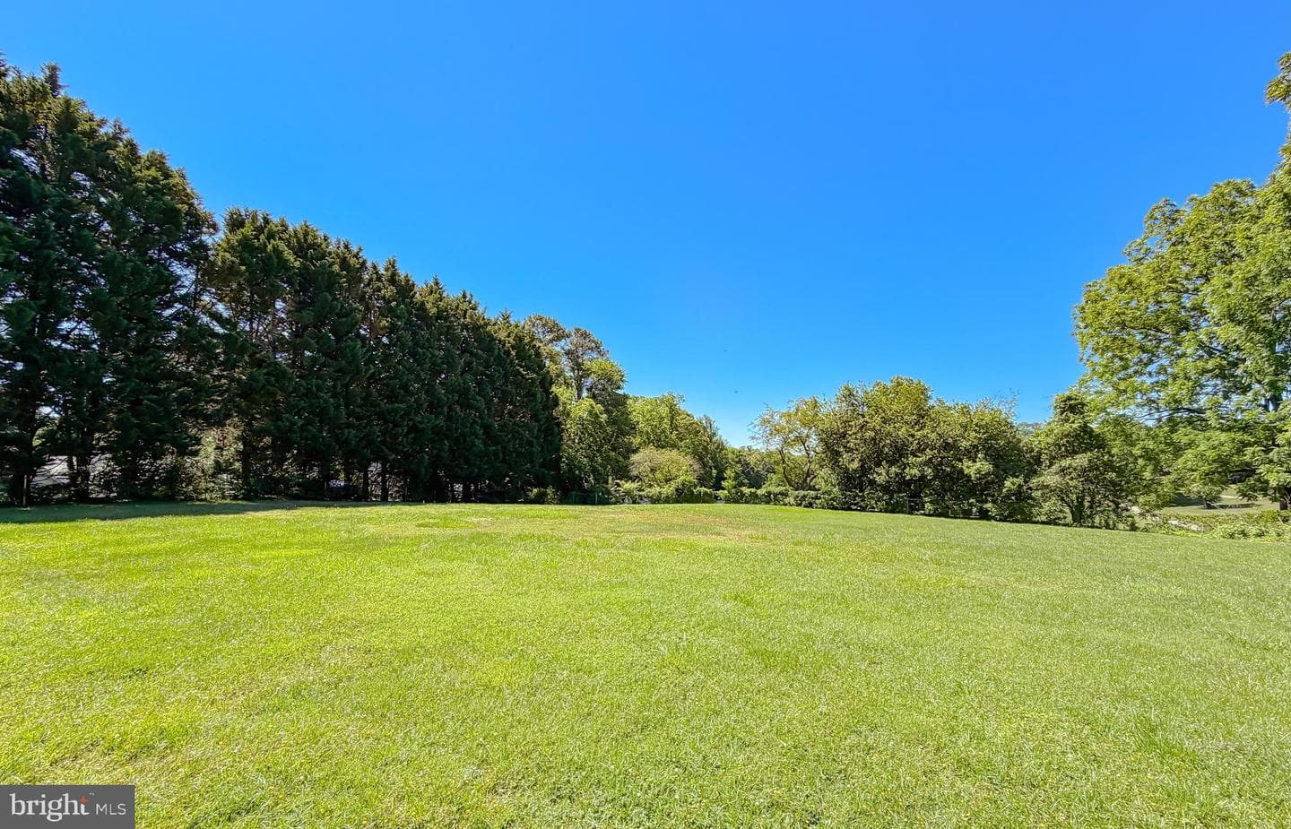 811 Cove Point Road photo 19