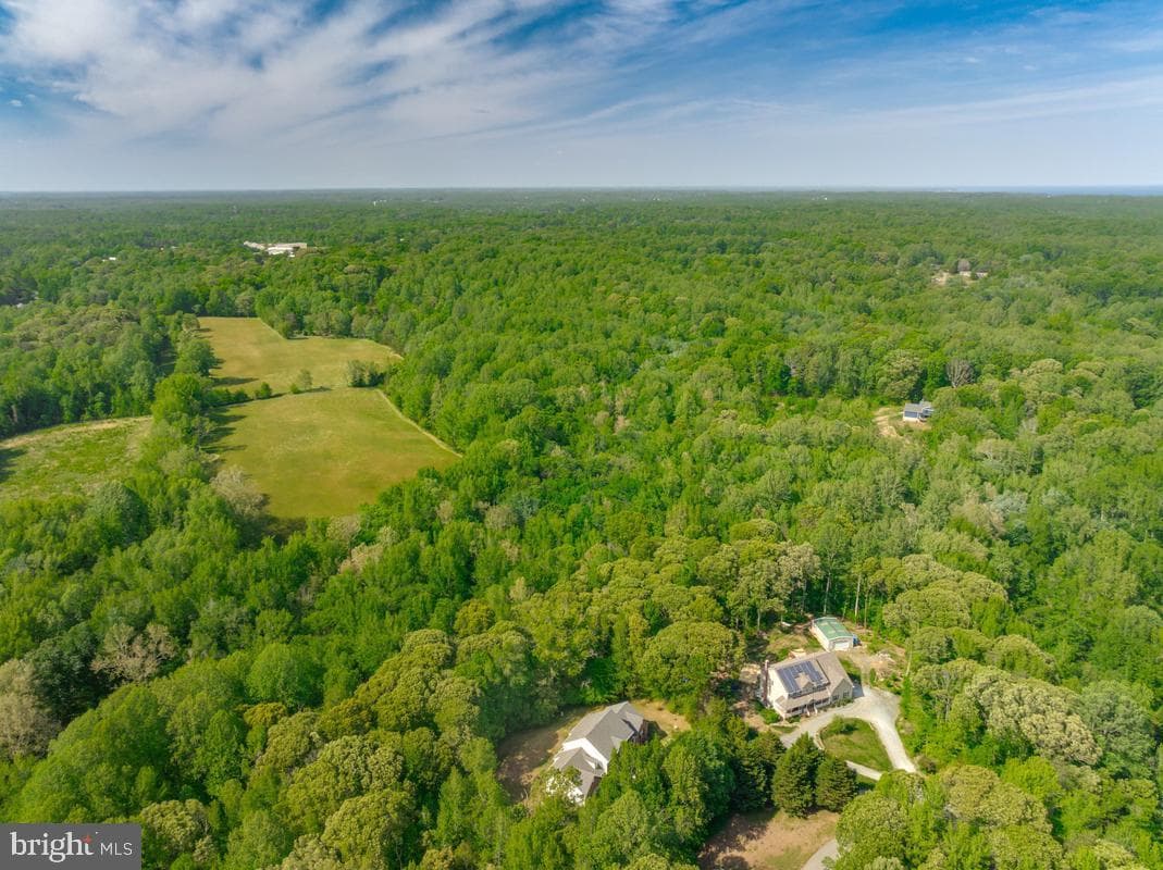 245 Persimmon Hills Court photo 55