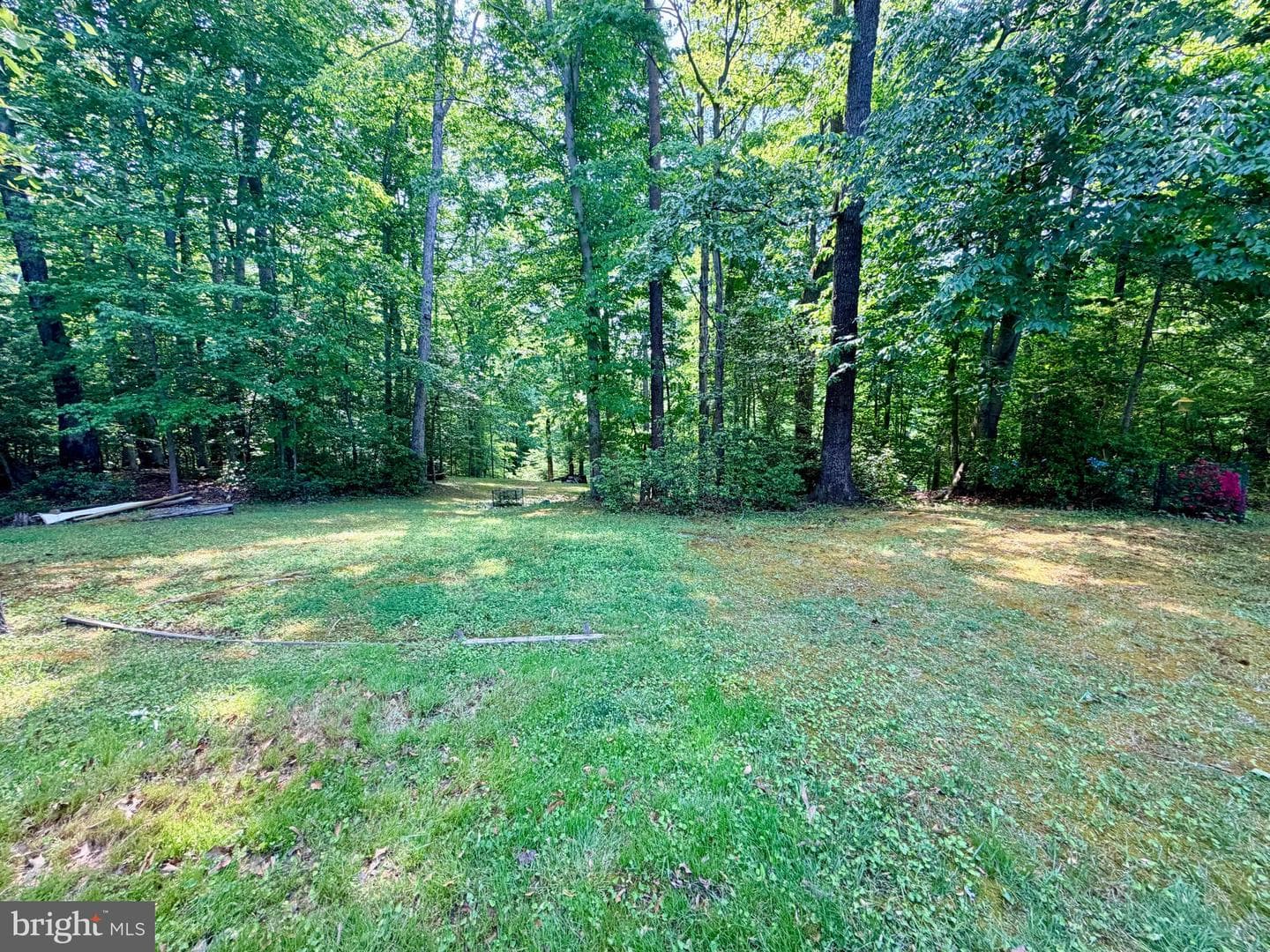 10241 Three Doctors Road photo 3