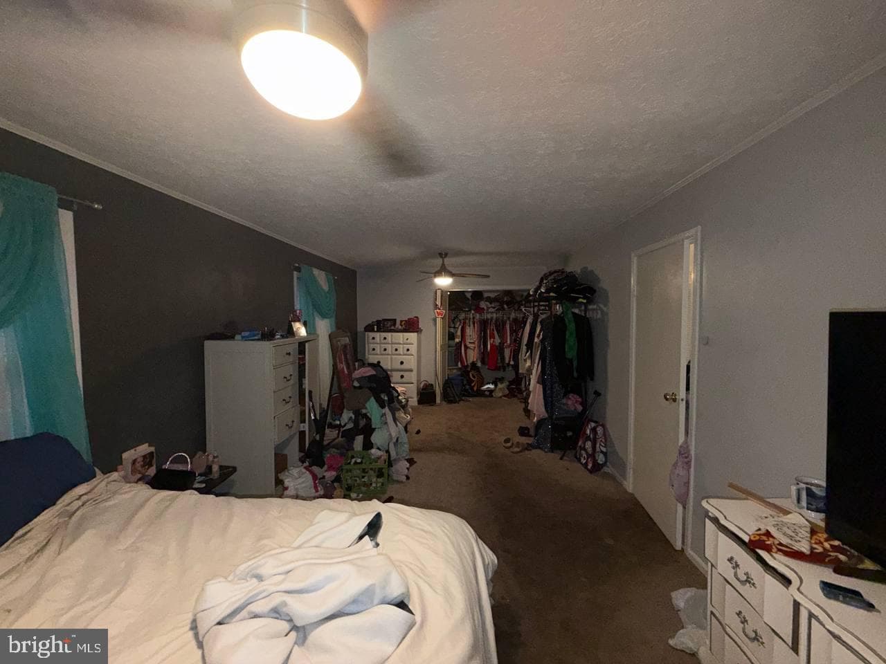 12586 Catalina Drive photo 16