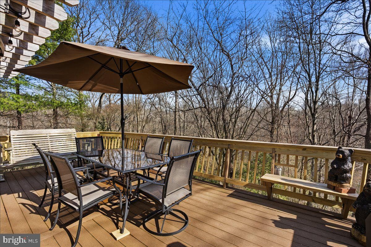 300 Owings Hill Court photo 19