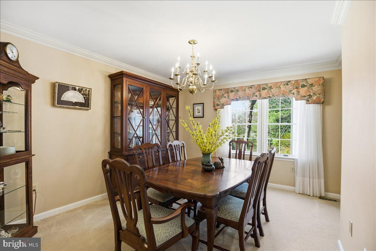 300 Owings Hill Court photo 23