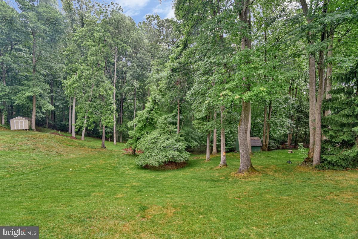 445 Cross Creek Drive photo 47