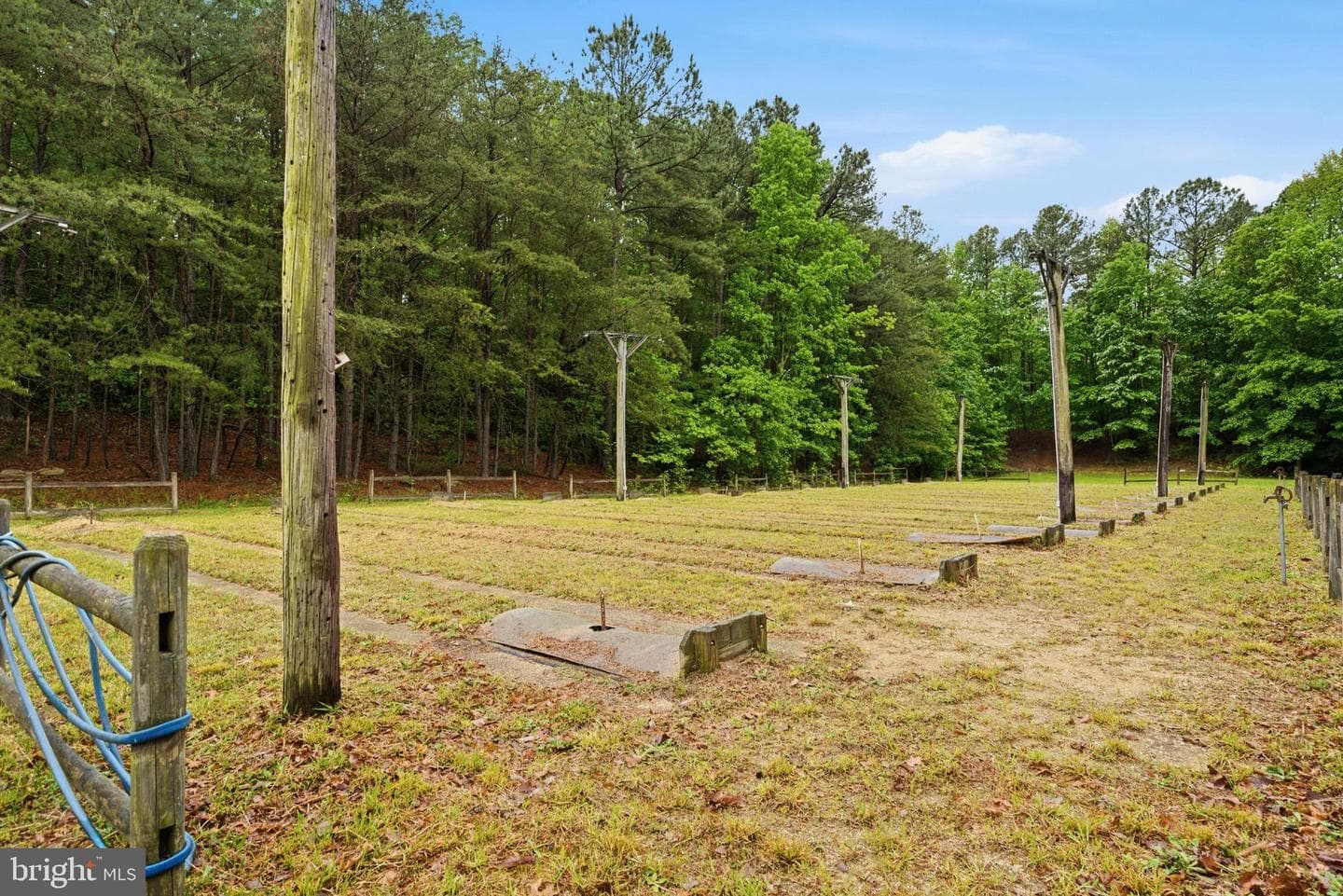 12346 Algonquin Trail photo 53