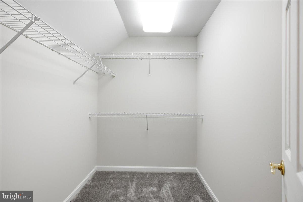 12033 Steven Lane photo 60
