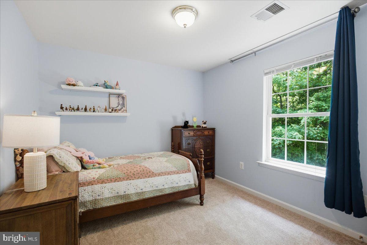 2424 Springbrook Court photo 69